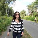 ���� ���, ����, 41 ��� - ��������� 1 �������� 2013 � ������ ���� ����������