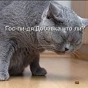  e,  -  28  2014   ...