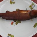 ���� ��������, �����-��������� - ��������� 7 ������� 2013 � ������ ���� ����������