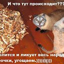 ���� ����, ��������, 59 ��� - ��������� 11 ������ 2013 � ������ ���������