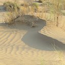 ���� �����, �������, 68 ��� - ��������� 29 ������ 2013 � ������ ���������