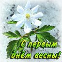 ���� ������, ������������ - ��������� 1 ����� 2014 � ������ ������ ��������