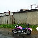 ���� ��� ������, �����-��������� - ��������� 31 ������� 2013 � ������ ������