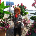 ���� �����, ������������ - ��������� 29 �������� 2013 � ������ ������.�