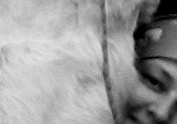 �����, ������, 48 ���