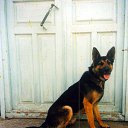 ���� ������, ���������� - ��������� 11 �������� 2013 � ������ ���� ����������