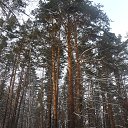  ,  -  6  2014    2014