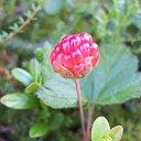 ���� ������, ������, 57 ��� - ��������� 9 �������� 2013 � ������ ���������