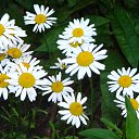 ���� ������, ������ - ��������� 16 ������� 2014 � ������ ���� ����������