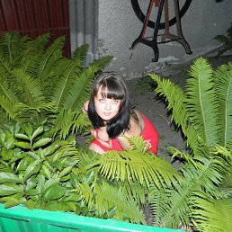 ���� ��������, ����� - ��������� 16 ������ 2014