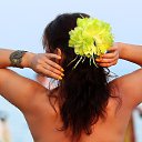 ���� C�������, �������, 50 ��� - ��������� 31 ������� 2013 � ������ ���� ����������