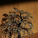 ������� �� ������� ���� ��������߻