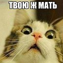 ���� ���, ����������� - ��������� 1 ������ 2013 � ������ ���� ����������