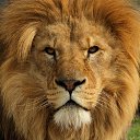 ���� ***Al***, ��������� - ��������� 7 ������� 2013 � ������ ���� ����������