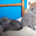 ���� ����, �����-���������, 57 ��� - ��������� 21 ������ 2014 � ������ ������ ��������