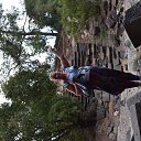 ���� ����� ������, ��������, 60 ��� - ��������� 8 ������ 2013 � ������ ���� ����������