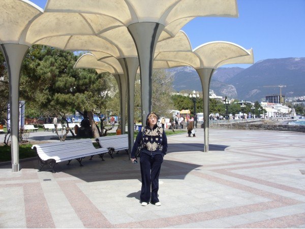   : ,  - , 56 , 