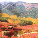   ().    .  , , 2005.     . 