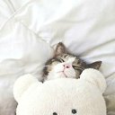 ������� ����)))))))))) � ��� ��� �� ���� ��������� ����!!!! �� ������� ������ ��������