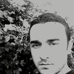, 29, 