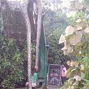  , , 63  -  2  2013     ༻