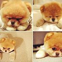 ���� Tatyana, ������ - ��������� 13 ������� 2013 � ������ ���� ����������