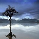  Loseff Yurij, , 63  -  21  2014       google+