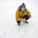 ���� �������, ������ ��������, 30 ��� - ��������� 17 ������� 2013 � ������ ���� ����������