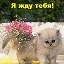 ���� ����, ���������, 31 ��� - ��������� 7 ����� 2014