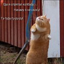 ���� �����, ��������� - ��������� 16 ������ 2013 � ������ ��������