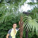 ���� ������, �����������, 33 ���� - ��������� 3 ������ 2014 � ������ ���� ����������