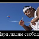 ���� �����, ������ - ��������� 1 �������� 2013