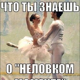 ���� �������, ������������ - ��������� 23 ������ 2014