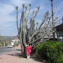  L l, , 40  -  5  2013    