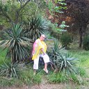 ���� �����, ������ ��������, 61 ��� - ��������� 7 ������� 2014 � ������ ���� ����������