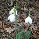  ,  , 62  -  23  2014    