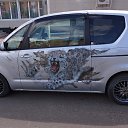 ���� �����, �����-���������, 48 ��� - ��������� 2 ����� 2014 � ������ ���� �������