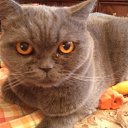 ��� ��� �������� ����(������� 4,5����) �� ������� �2016 ��� ��������