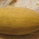  , -, 57  -  20  2013   2013 .