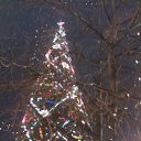 ���� M�����, ������ - ��������� 4 ������ 2014 � ������ ���� ����������