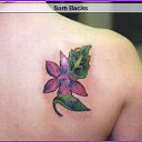  , , 42  -  25  2013   tatu