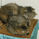 ��� ������� ������� �� ������� ���� ���� � ������ ��������