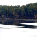 ���� Svann, ���������, 71 ��� - ��������� 6 ������� 2013 � ������ ������. ��. �������.�