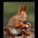 ���� ������, �������� - ��������� 25 ������ 2014 � ������ ���� ����������