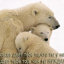 ���� ����, ���, 48 ��� - ��������� 2 ����� 2014