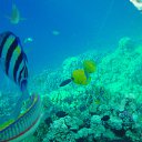 ������� ���� ����� �������� ���� �� ������� ���� � �� ����� ��� )))) �� ������� ���� ����������