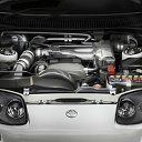 ���� �����, ���������, 40 ��� - ��������� 24 ������� 2014 � ������ ������ ��������