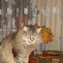 ���� ������� �., ����� - ��������� 14 ������� 2013 � ������ ���� ���� � ������ ��������