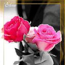 ���� ������, ������, 58 ��� - ��������� 11 ������� 2013 � ������ ���� ����������