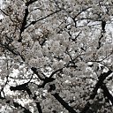 ���� ������, �����-���������, 61 ��� - ��������� 31 ������� 2013 � ������ ������� ������ 2013�